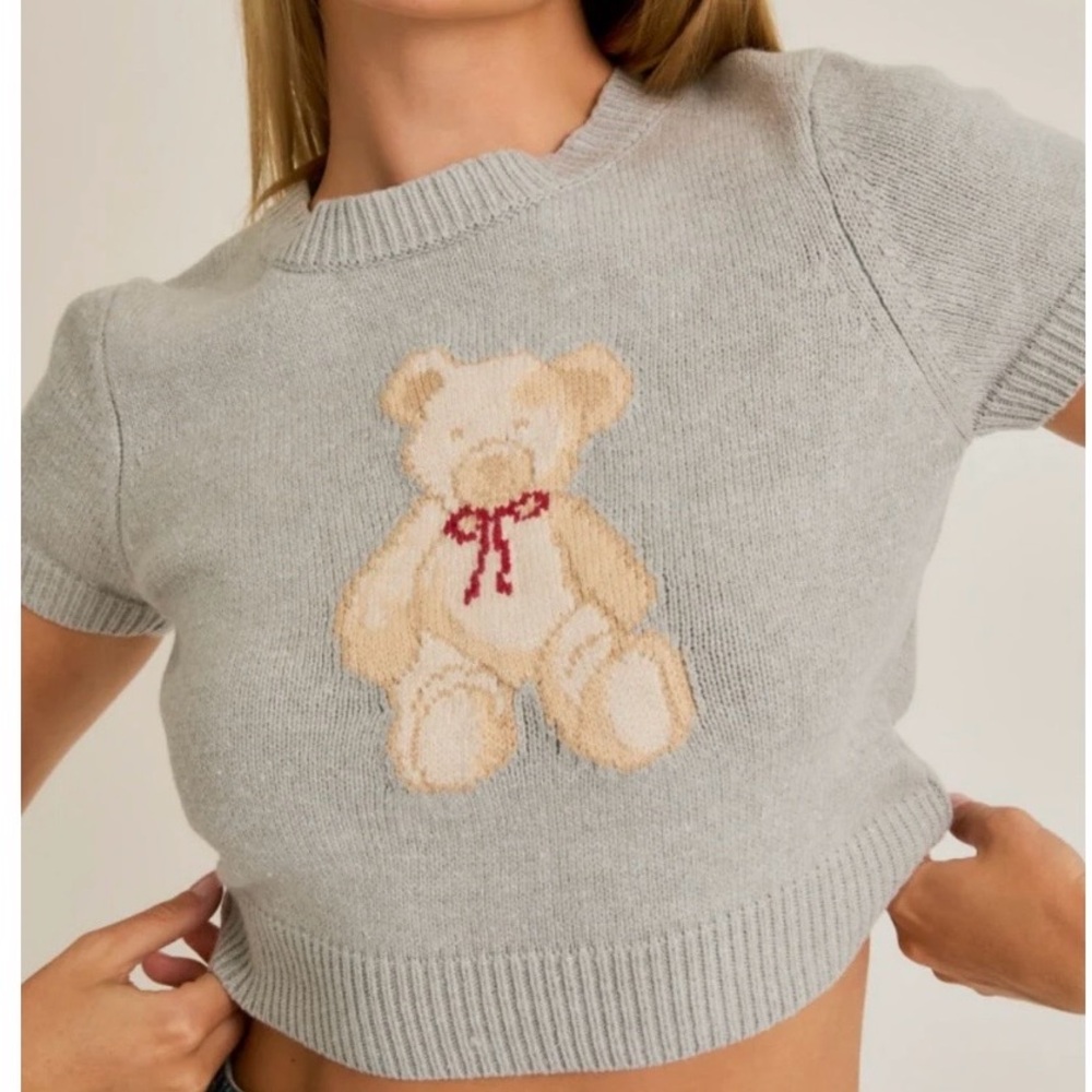 Polo Ralph Lauren Inspired  Gray Teddy Cropped Knit Sweater with Beige Bear